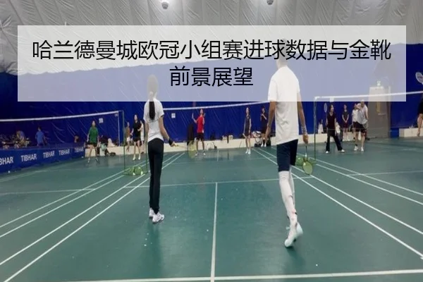 哈兰德曼城欧冠小组赛进球数据与金靴前景展望